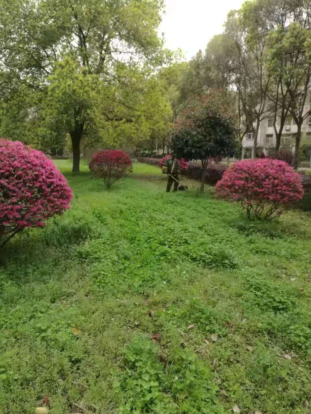 微信图片_20250403091114.jpg