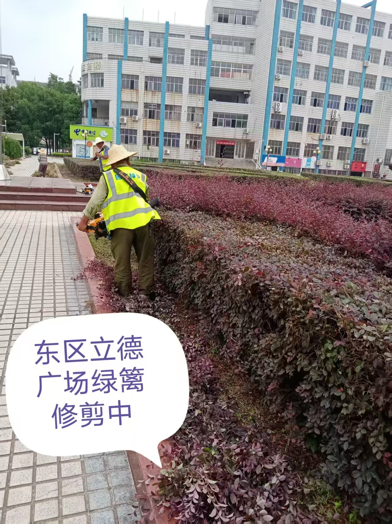 微信图片_20250403091131.jpg