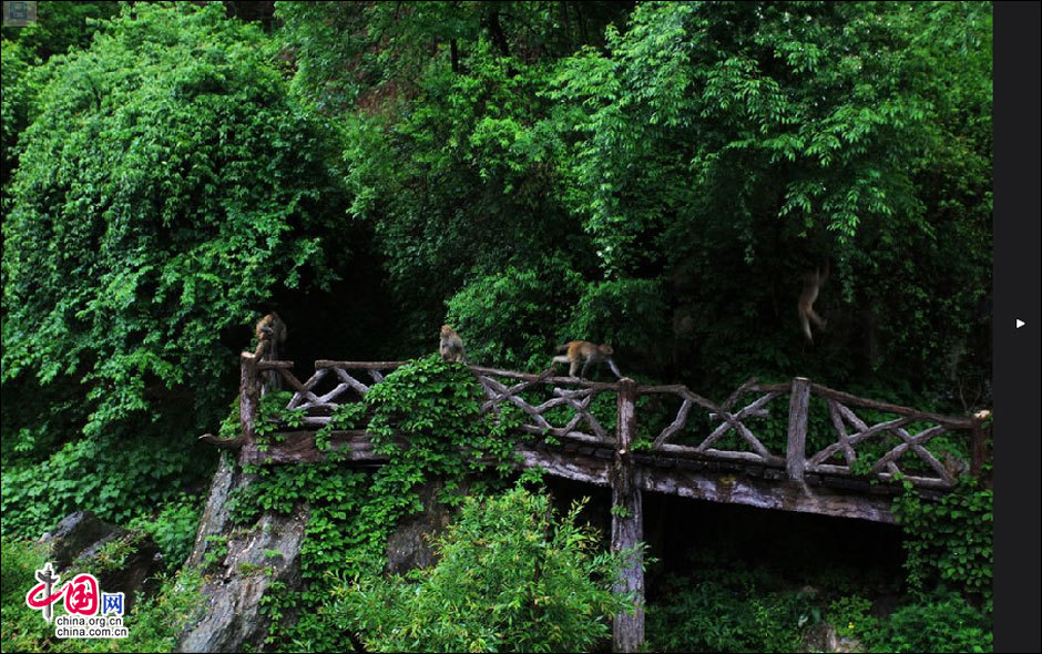 地理中国：中国独一无二的武当山夏季美景